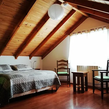 Nothofagus Bed & Breakfast-2