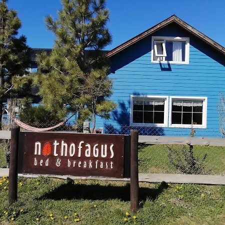 Nothofagus Bed & Breakfast-3